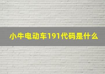 小牛电动车191代码是什么