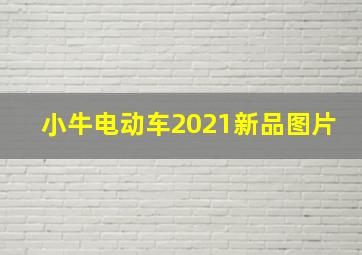 小牛电动车2021新品图片