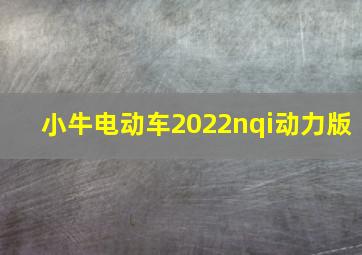 小牛电动车2022nqi动力版