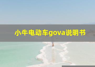 小牛电动车gova说明书