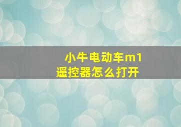 小牛电动车m1遥控器怎么打开