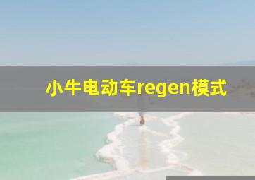 小牛电动车regen模式