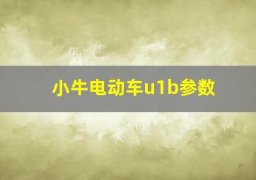 小牛电动车u1b参数