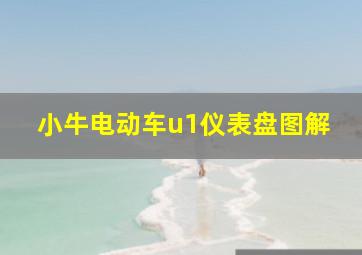 小牛电动车u1仪表盘图解