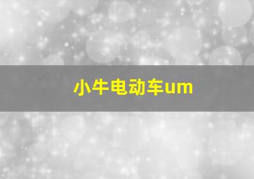 小牛电动车um