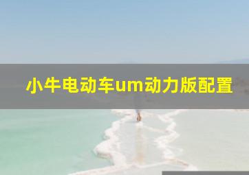 小牛电动车um动力版配置