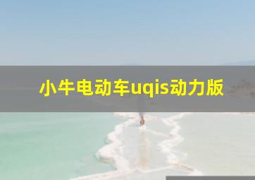 小牛电动车uqis动力版