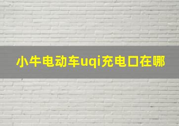 小牛电动车uqi充电口在哪