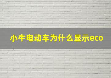 小牛电动车为什么显示eco