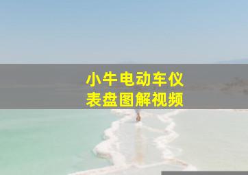 小牛电动车仪表盘图解视频