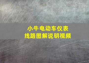 小牛电动车仪表线路图解说明视频