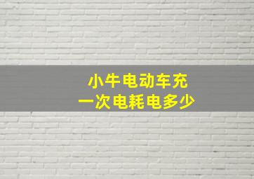 小牛电动车充一次电耗电多少