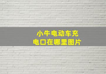 小牛电动车充电口在哪里图片