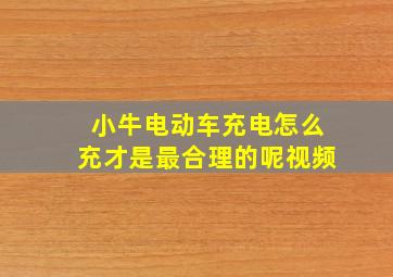 小牛电动车充电怎么充才是最合理的呢视频