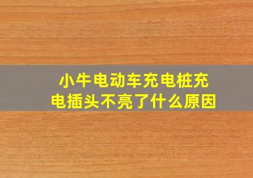 小牛电动车充电桩充电插头不亮了什么原因