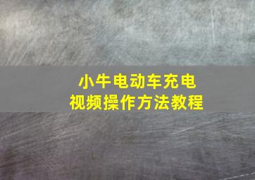 小牛电动车充电视频操作方法教程