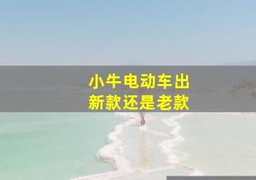 小牛电动车出新款还是老款