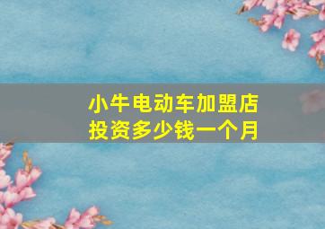 小牛电动车加盟店投资多少钱一个月