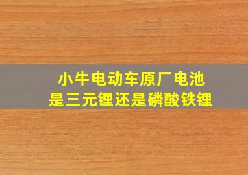 小牛电动车原厂电池是三元锂还是磷酸铁锂