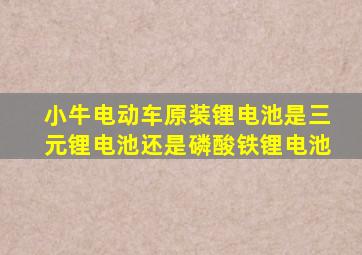 小牛电动车原装锂电池是三元锂电池还是磷酸铁锂电池