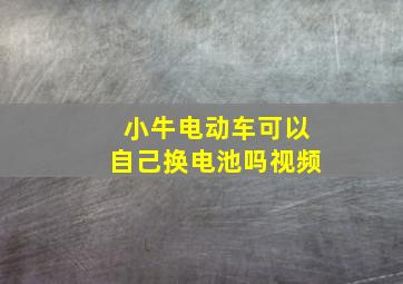 小牛电动车可以自己换电池吗视频