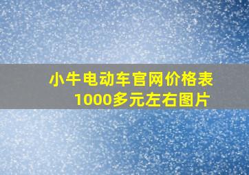 小牛电动车官网价格表1000多元左右图片