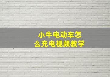 小牛电动车怎么充电视频教学