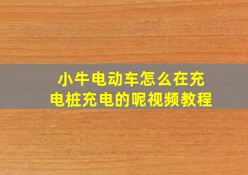 小牛电动车怎么在充电桩充电的呢视频教程