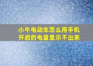 小牛电动车怎么用手机开启的电量显示不出来