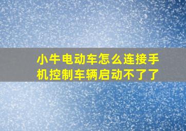 小牛电动车怎么连接手机控制车辆启动不了了