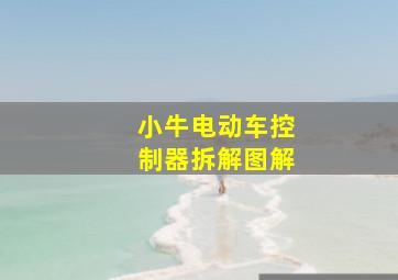 小牛电动车控制器拆解图解