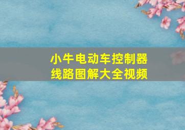 小牛电动车控制器线路图解大全视频