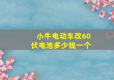 小牛电动车改60伏电池多少钱一个