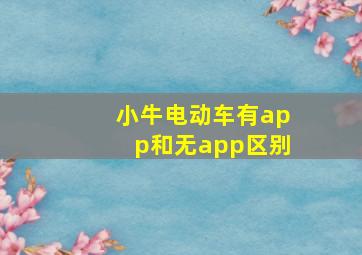 小牛电动车有app和无app区别