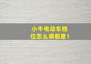 小牛电动车档位怎么调都是1