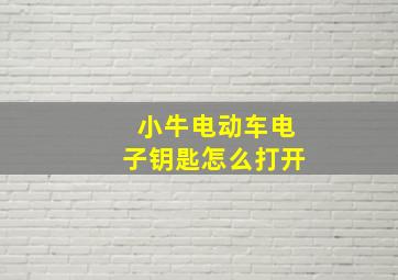 小牛电动车电子钥匙怎么打开