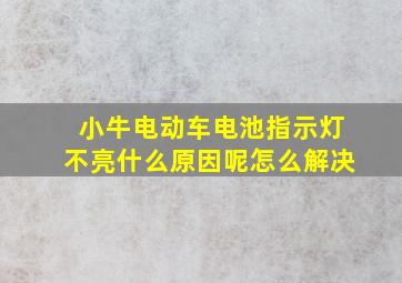 小牛电动车电池指示灯不亮什么原因呢怎么解决