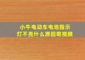 小牛电动车电池指示灯不亮什么原因呢视频