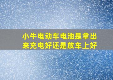 小牛电动车电池是拿出来充电好还是放车上好