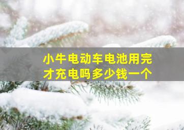 小牛电动车电池用完才充电吗多少钱一个