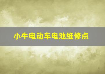 小牛电动车电池维修点