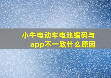 小牛电动车电池编码与app不一致什么原因