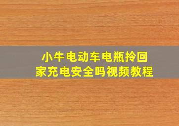 小牛电动车电瓶拎回家充电安全吗视频教程