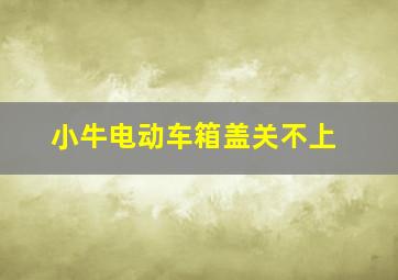 小牛电动车箱盖关不上