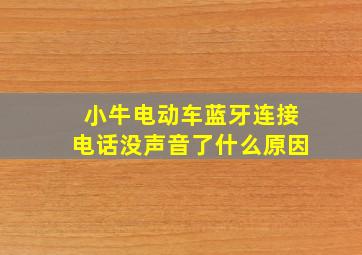 小牛电动车蓝牙连接电话没声音了什么原因