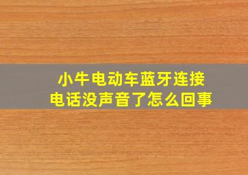 小牛电动车蓝牙连接电话没声音了怎么回事