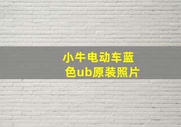 小牛电动车蓝色ub原装照片