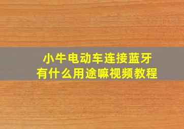 小牛电动车连接蓝牙有什么用途嘛视频教程