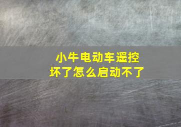 小牛电动车遥控坏了怎么启动不了