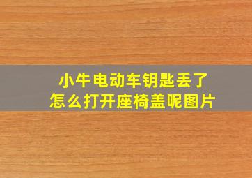 小牛电动车钥匙丢了怎么打开座椅盖呢图片